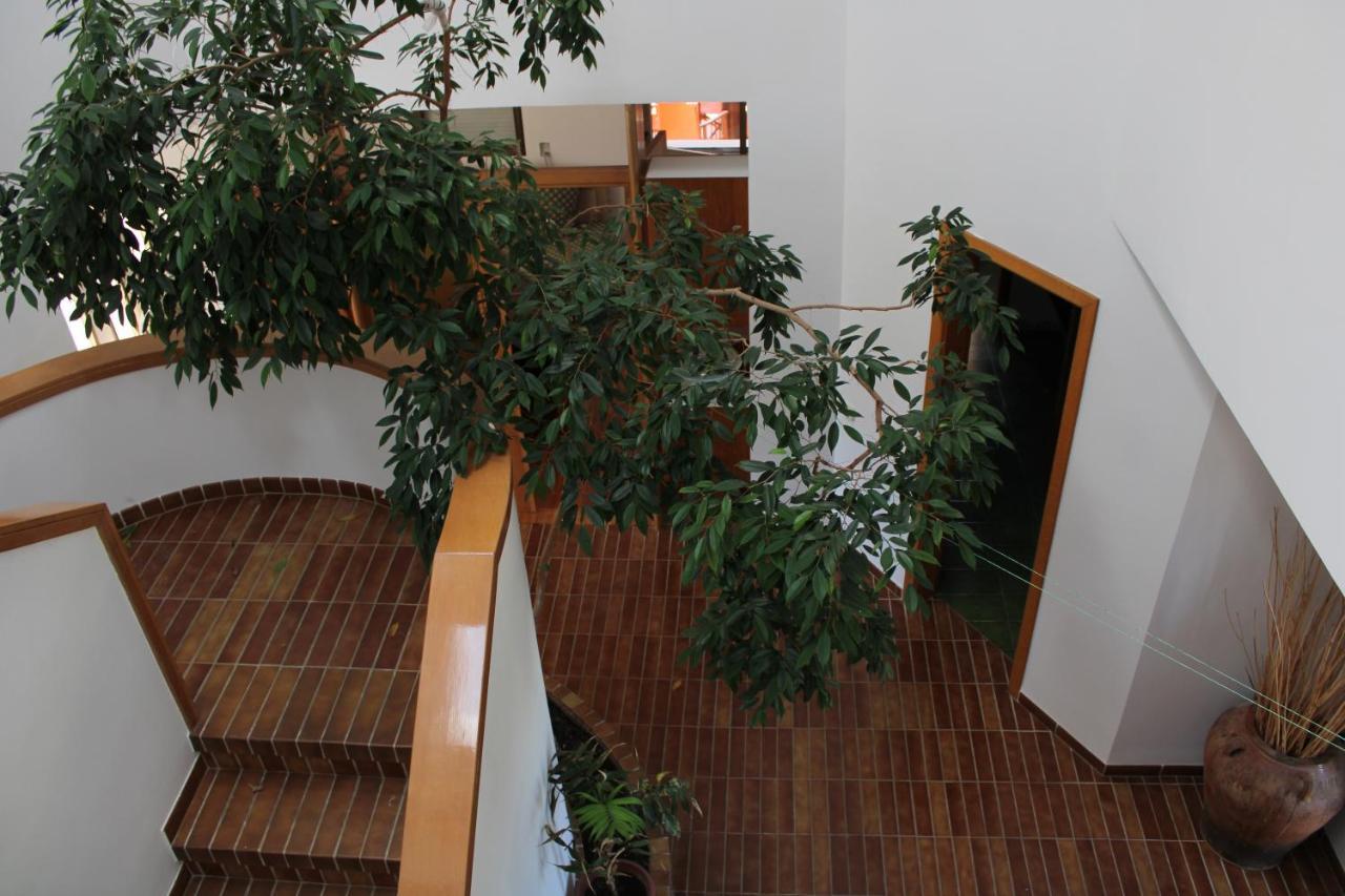 Villa De L'Ebre Deltebre Exteriér fotografie