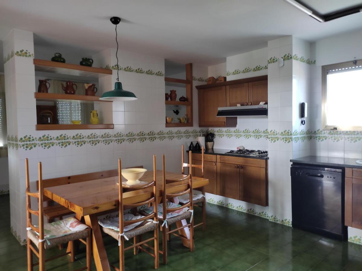 Villa De L'Ebre Deltebre Exteriér fotografie